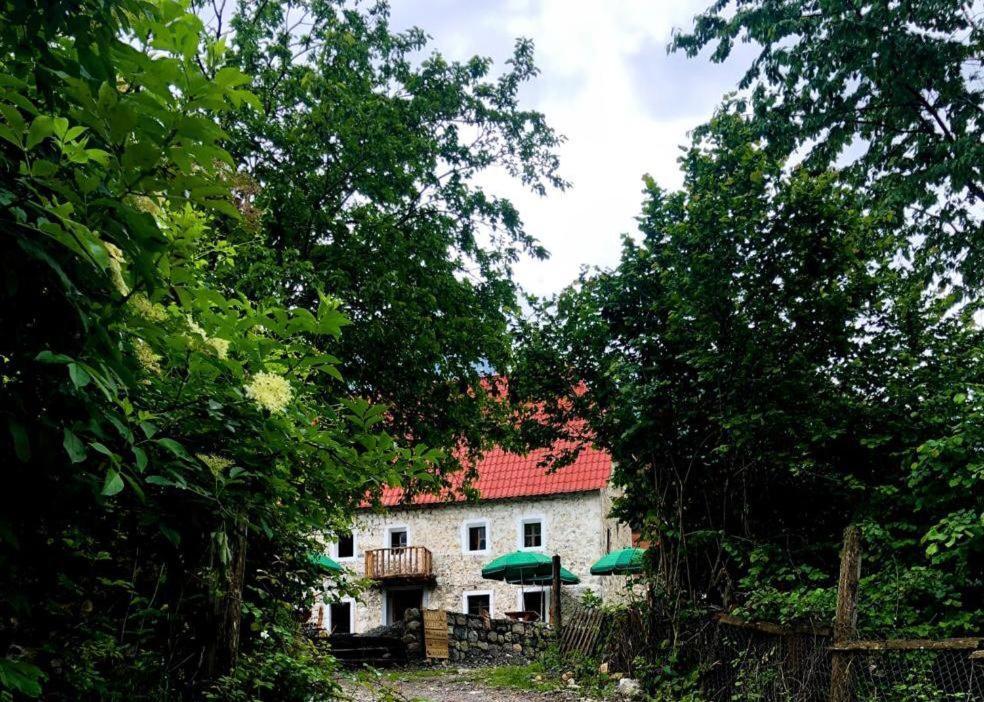 Guesthouse Kujtimi Тети Экстерьер фото